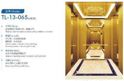 型號(hào)：TL-13-065（選配型）