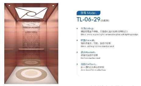 型號(hào)：TL-06-29（選配型）